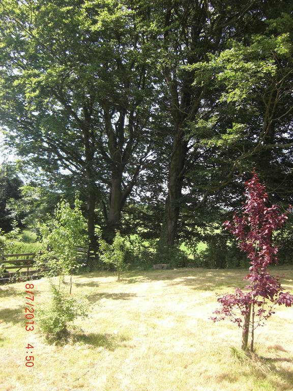 The Homestead Carnforth Εξωτερικό φωτογραφία